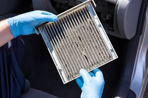 New Cabin Filter Smells Musty After One Week: Wet Housing, Wrong Orientation, or Evaporator Residue?