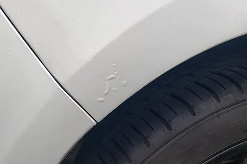 Paint Bubble at Wheel Arch: Stone Chip Rust Starting Under the Surface—What to Do Early