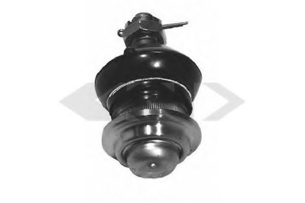 50116 SPIDAN Cylinder Head Gasket, cylinder head