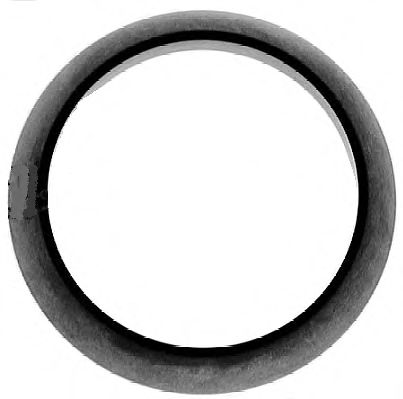 703.613 ELRING Exhaust System Gasket, exhaust pipe