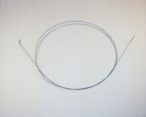 814029314 TRISCAN Accelerator Cable