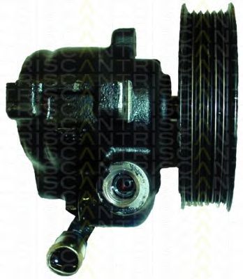 8515 10606 TRISCAN Hydraulic Pump, steering system