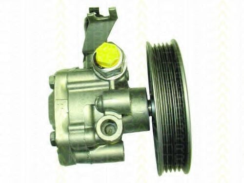 8515 18621 TRISCAN Hydraulic Pump, steering system