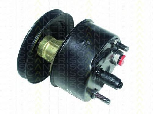 8515 25605 TRISCAN Hydraulic Pump, steering system