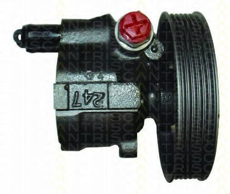 8515 25639 TRISCAN Hydraulic Pump, steering system