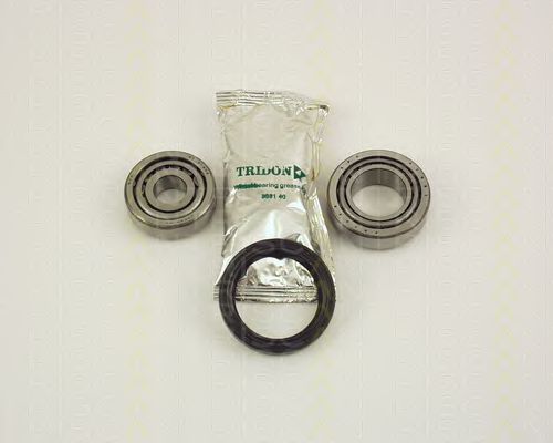 8530 14201 TRISCAN Wheel Bearing Kit