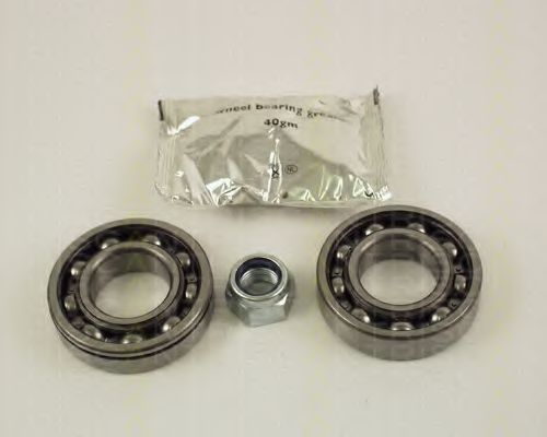 8530 25101 TRISCAN Wheel Bearing Kit