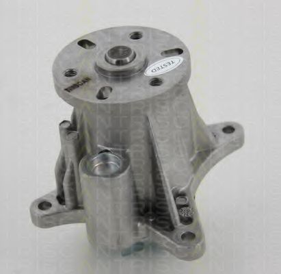 8600 17013 TRISCAN Cooling System Water Pump
