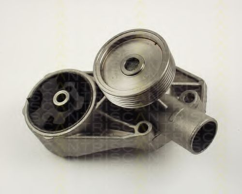 8600 67002 TRISCAN Cooling System Water Pump