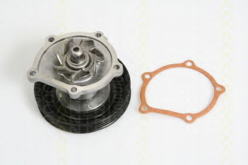 8600 69006 TRISCAN Cooling System Water Pump