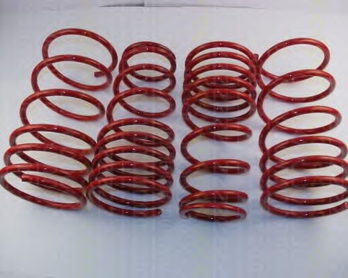 8755 13006 TRISCAN Suspension Kit, coil springs