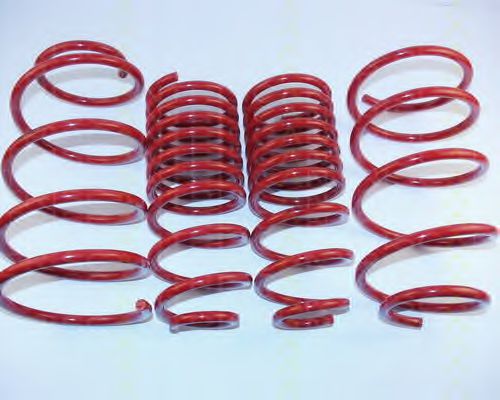8755 15015 TRISCAN Suspension Kit, coil springs