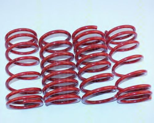 8755 16007 TRISCAN Suspension Kit, coil springs