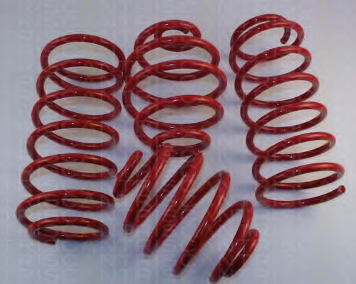 8755 24006 TRISCAN Suspension Kit, coil springs