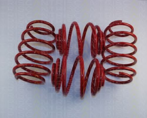 8755 24013 TRISCAN Suspension Kit, coil springs