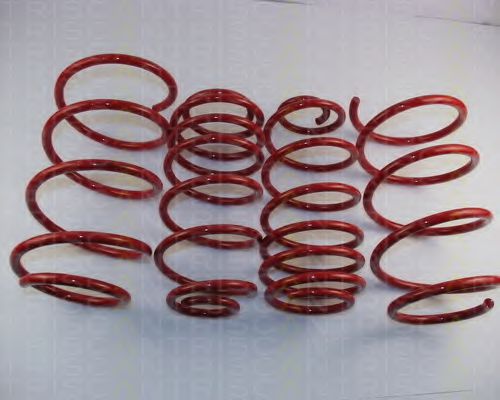 8755 27002 TRISCAN Suspension Kit, coil springs