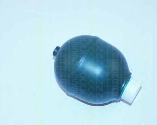 8760 38107 TRISCAN Suspension Sphere, pneumatic suspension
