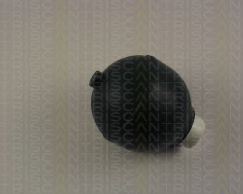 8760 38215 TRISCAN Suspension Sphere, pneumatic suspension