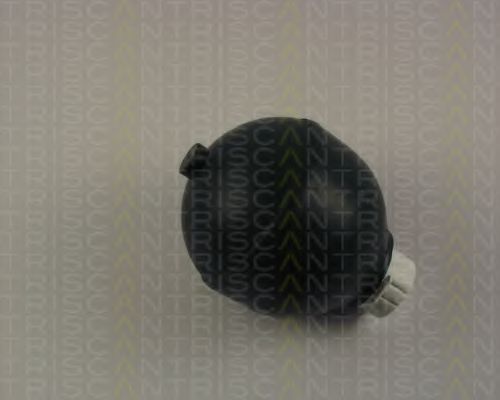 8760 38217 TRISCAN Suspension Sphere, pneumatic suspension