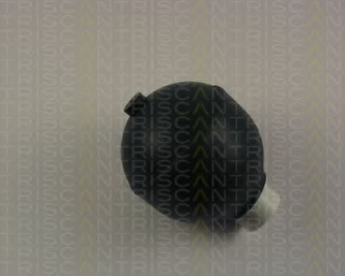 8760 38218 TRISCAN Suspension Sphere, pneumatic suspension