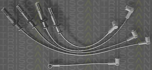8860 4161 TRISCAN Ignition System Ignition Cable Kit