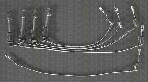 8860 7145 TRISCAN Ignition Cable Kit