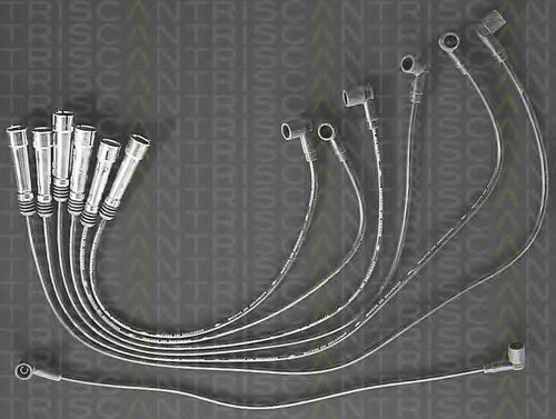 8860 7160 TRISCAN Ignition Cable Kit