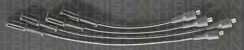 8860 7257 TRISCAN Ignition Cable Kit