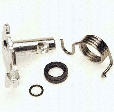 8170 209918 TRISCAN Brake System Repair Kit, parking brake handle (brake caliper)