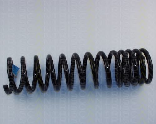 8750 2901P TRISCAN Coil Spring