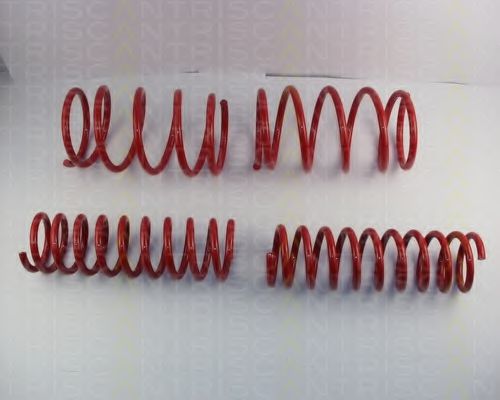 8755 11005 TRISCAN Suspension Kit, coil springs