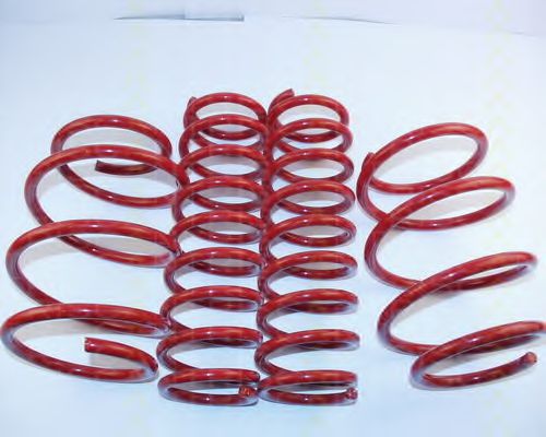 8755 11015 TRISCAN Suspension Kit, coil springs