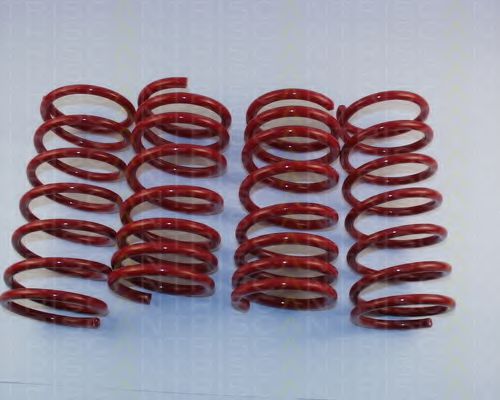 8755 16001 TRISCAN Suspension Kit, coil springs