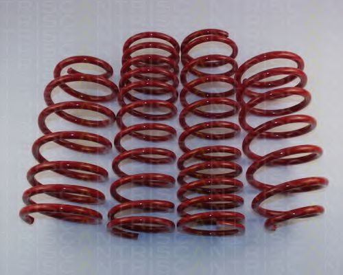 8755 16014 TRISCAN Suspension Kit, coil springs