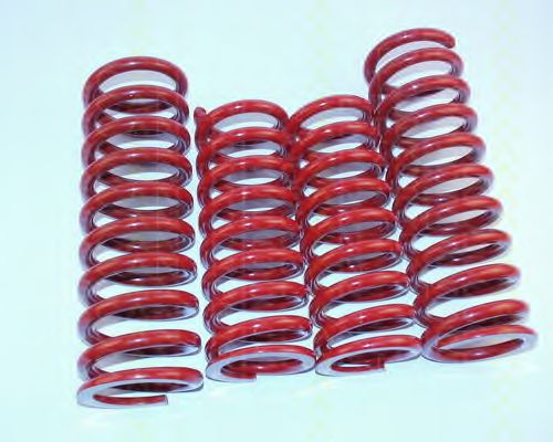 8755 23002 TRISCAN Suspension Kit, coil springs
