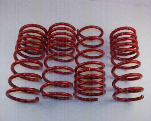 8755 24009 TRISCAN Suspension Kit, coil springs