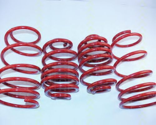 8755 24022 TRISCAN Suspension Kit, coil springs
