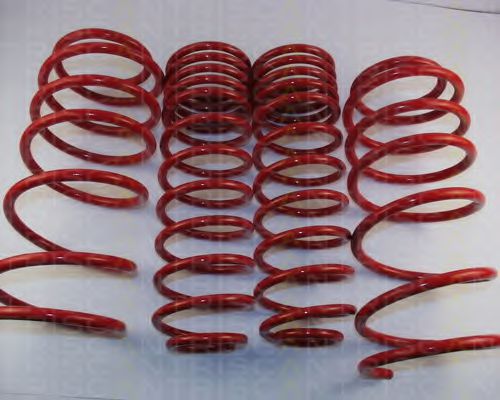 8755 27005 TRISCAN Suspension Kit, coil springs