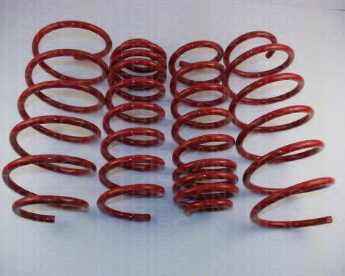 8755 28016 TRISCAN Suspension Kit, coil springs