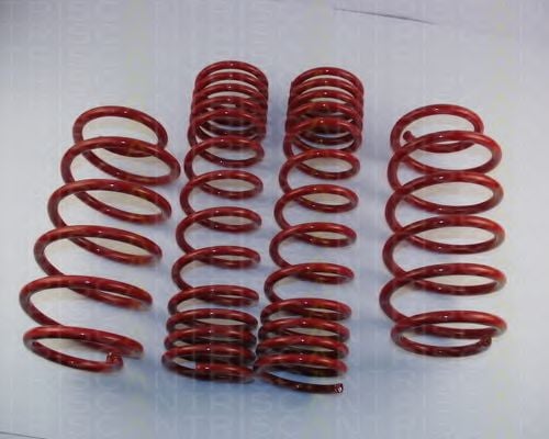 8755 29001 TRISCAN Suspension Kit, coil springs