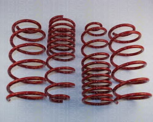 8755 29003 TRISCAN Suspension Suspension Kit, coil springs
