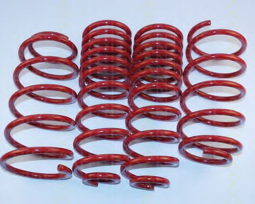 8755 29005 TRISCAN Suspension Kit, coil springs