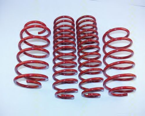 8755 29007 TRISCAN Suspension Kit, coil springs
