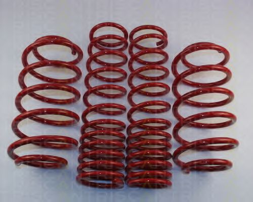 8755 29011 TRISCAN Suspension Kit, coil springs