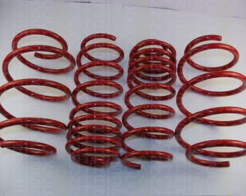 8755 29013 TRISCAN Suspension Kit, coil springs