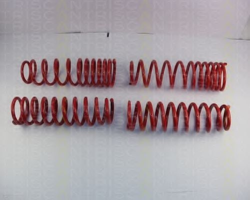 8755 40003 TRISCAN Suspension Kit, coil springs