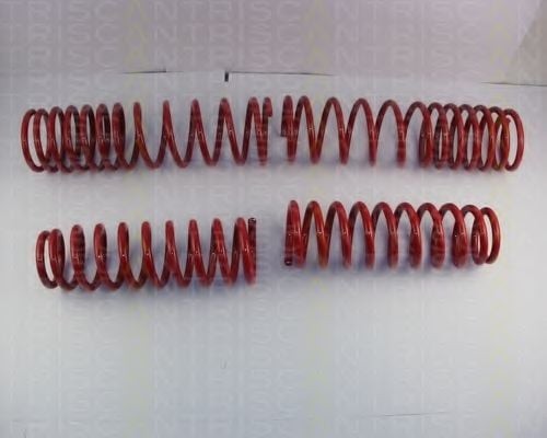 8755 40008 TRISCAN Suspension Kit, coil springs