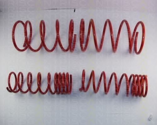8755 42001 TRISCAN Suspension Kit, coil springs