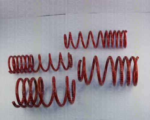 8755 66001 TRISCAN Suspension Kit, coil springs
