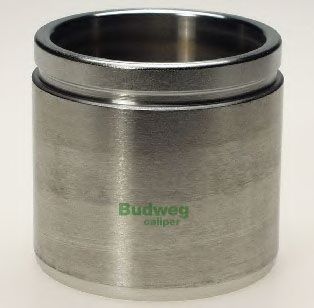 236031 BUDWEG CALIPER Ignition Cable